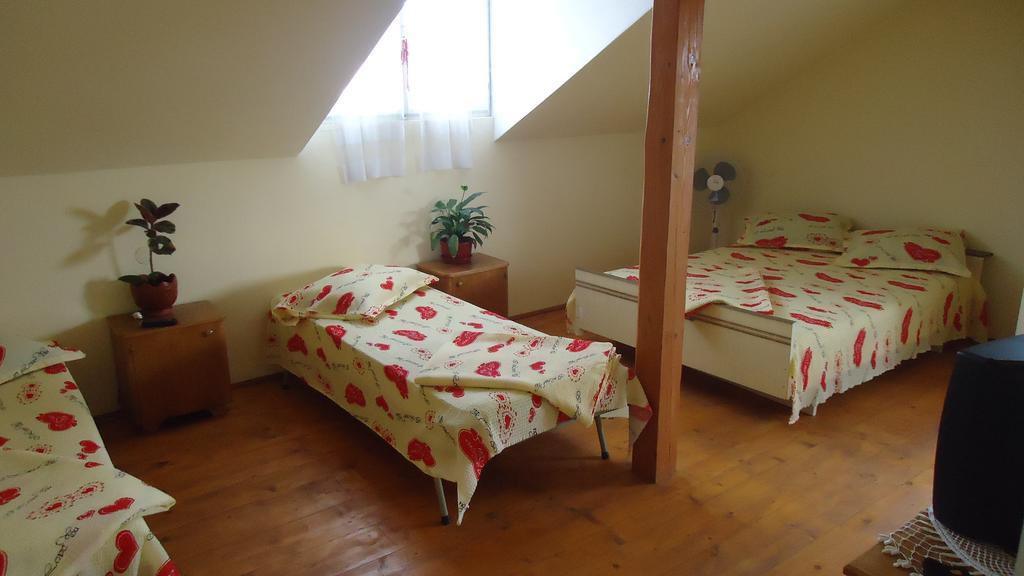 Helga House Vandrerhjem Turda Rom bilde